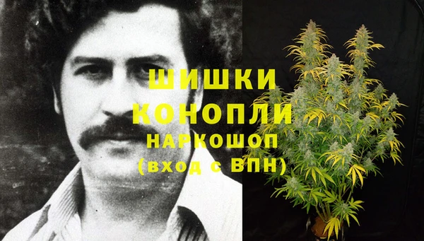Альфа ПВП Володарск