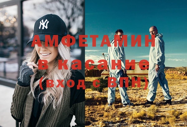 ГАЛЛЮЦИНОГЕННЫЕ ГРИБЫ Вяземский