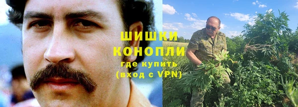 ГАЛЛЮЦИНОГЕННЫЕ ГРИБЫ Вяземский