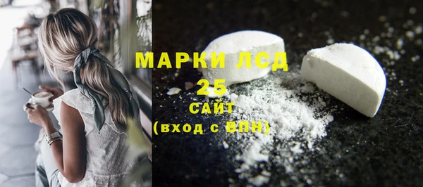 ГАЛЛЮЦИНОГЕННЫЕ ГРИБЫ Вяземский