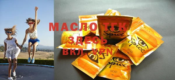 ГАЛЛЮЦИНОГЕННЫЕ ГРИБЫ Вяземский