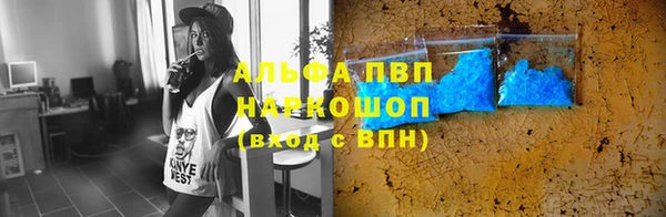 ГАЛЛЮЦИНОГЕННЫЕ ГРИБЫ Вяземский