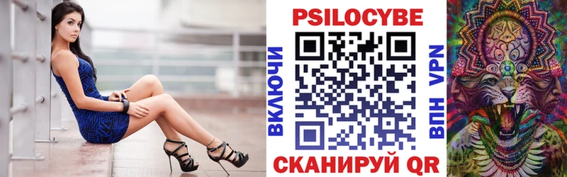 Псилоцибиновые грибы Psilocybe Зеленодольск