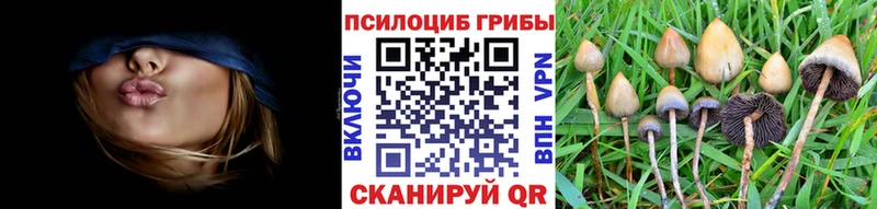 Галлюциногенные грибы Magic Shrooms  купить   Зеленодольск 